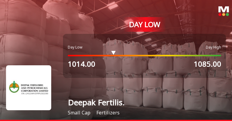 Deepak Fertilisers & Petrochemicals Corp Ltd Hits Intraday Low Amid Price Pressure