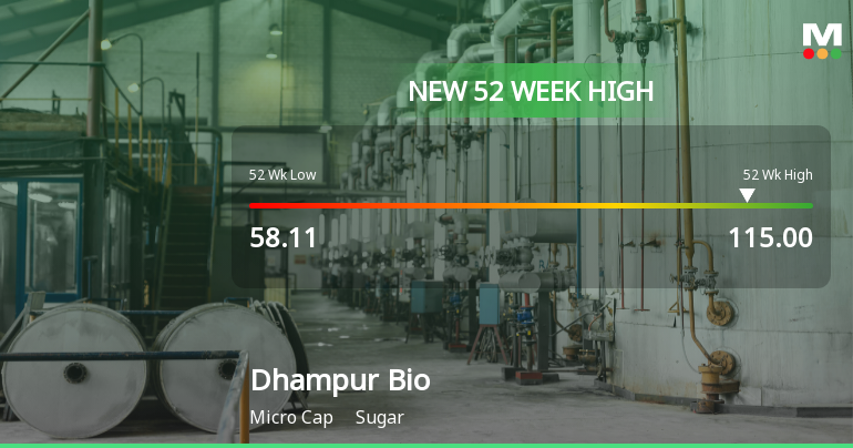 Dhampur Bio Organics Ltd Hits New 52-Week High at Rs.115