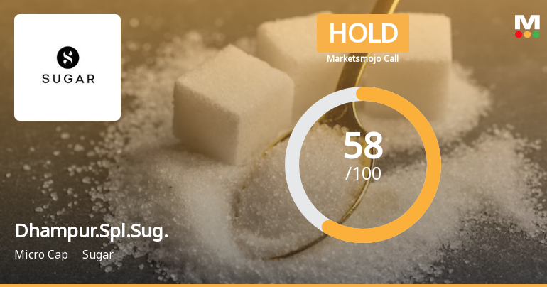 Dhampure Speciality Sugars Ltd is Rated Hold