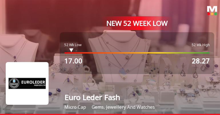 Euro Leder Fashion Ltd Falls to 52-Week Low of Rs.17 Amidst Continued Downtrend