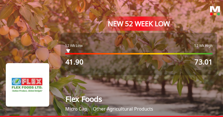 Flex Foods Ltd Stock Falls to 52-Week Low of Rs.41.9 Amidst Continued Downtrend