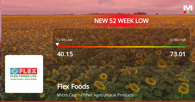 Flex Foods Ltd Falls to 52-Week Low Amidst Continued Underperformance