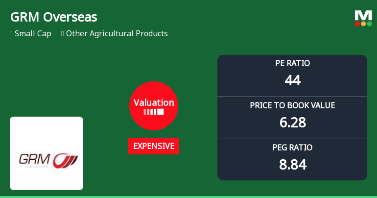 GRM Overseas Ltd Valuation Shift Signals Price Attractiveness Amidst Sector Peers
