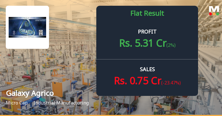 Galaxy Agrico Exports Q2 FY26: Mounting Losses Raise Serious Concerns