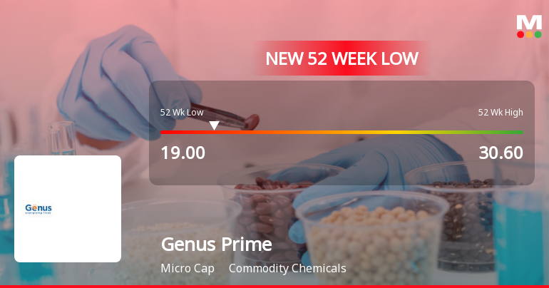 Genus Prime Infra Ltd Falls to 52-Week Low of Rs.19 Amidst Weak Fundamentals