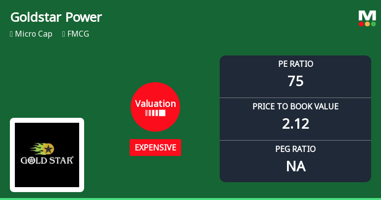 Goldstar Power Ltd Valuation Shifts Signal Heightened Price Risk Amid Weak Returns