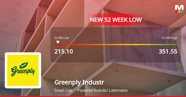 Greenply Industries Ltd Stock Falls to 52-Week Low of Rs.216.3