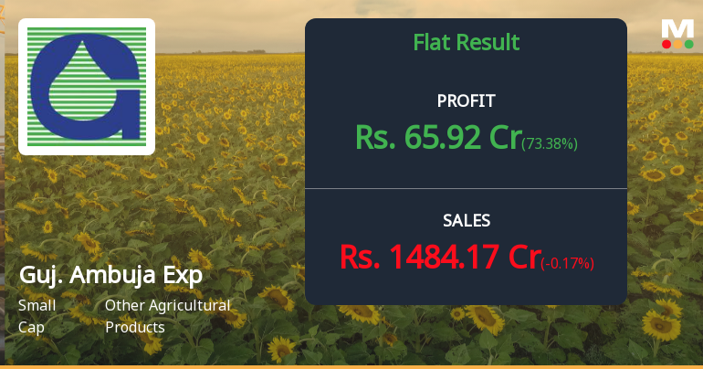Gujarat Ambuja Exports Q3 FY26: Profit Surge Masks Margin Pressure