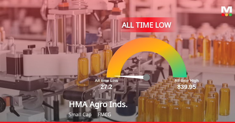 HMA Agro Industries Ltd Hits All-Time Low Amidst Prolonged Downtrend
