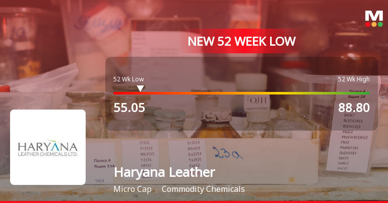 Haryana Leather Chemicals Ltd Hits 52-Week Low Amid Continued Downtrend