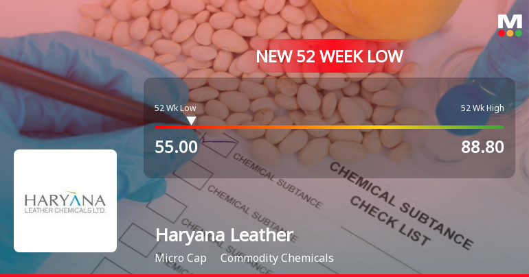 Haryana Leather Chemicals Ltd Falls to 52-Week Low of Rs.55