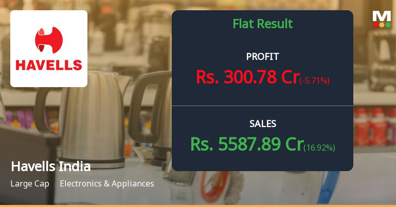 Havells India Q3 FY26: Margin Pressures Persist Despite Revenue Recovery