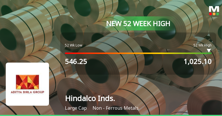 Hindalco Industries Ltd Hits New 52-Week High at Rs 1028