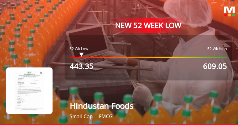 Hindustan Foods Ltd Stock Falls to 52-Week Low of Rs.443.35