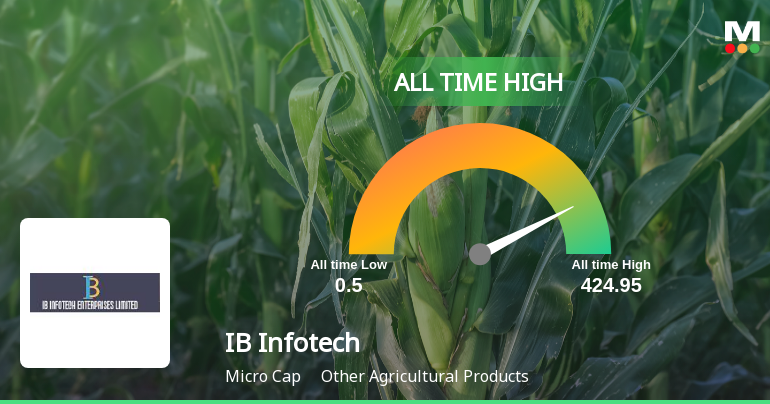 IB Infotech Enterprises Ltd Stock Hits Record High of Rs.424.95