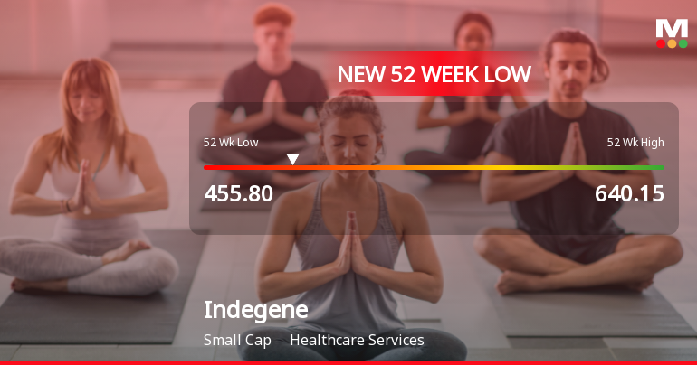 Indegene Ltd Falls to 52-Week Low of Rs.455.8 Amid Market Pressure
