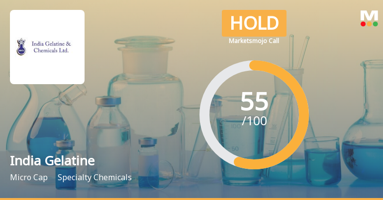 India Gelatine & Chemicals Ltd is Rated Hold