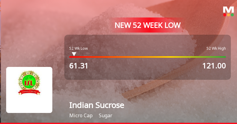 Indian Sucrose Ltd Falls to 52-Week Low of Rs.65 Amid Continued Downtrend