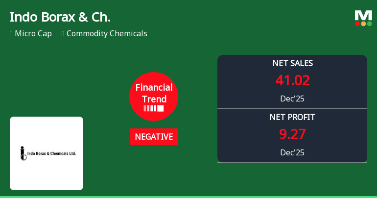 Indo Borax & Chemicals Ltd Reports Negative Financial Trend Amidst Mixed Quarterly Performance