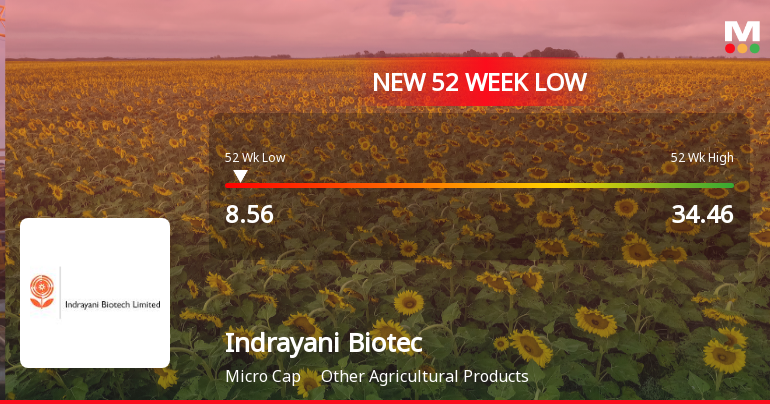 Indrayani Biotech Ltd Falls to 52-Week Low Amidst Continued Underperformance