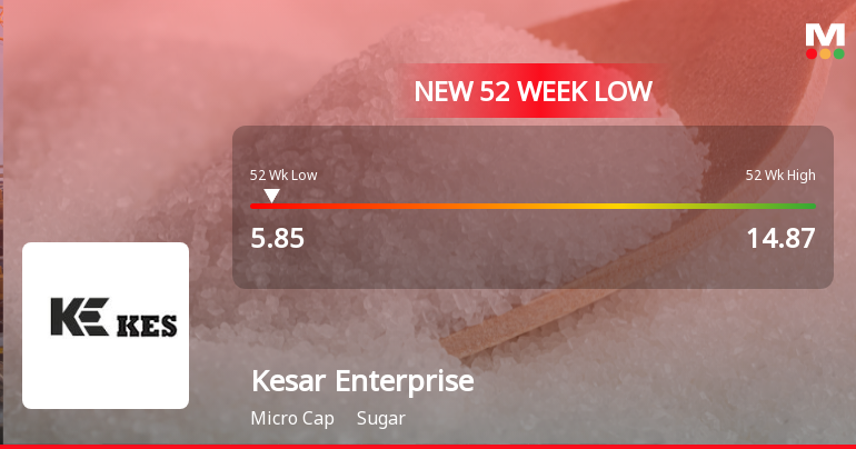 Kesar Enterprises Ltd Stock Hits 52-Week Low Amidst Continued Downtrend