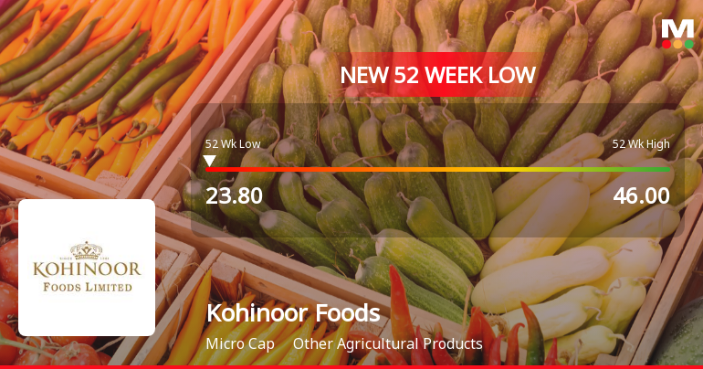 Kohinoor Foods Ltd Stock Hits 52-Week Low at Rs.23.8 Amidst Continued Downtrend