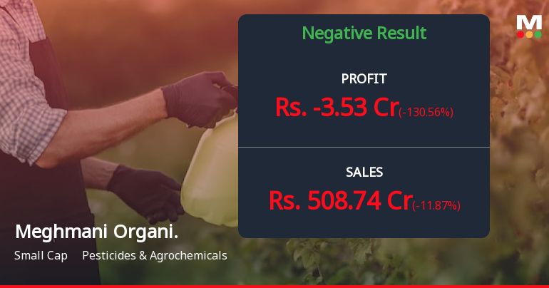Meghmani Organics Q3 FY26: Losses Return Amid Margin Compression and Operational Headwinds