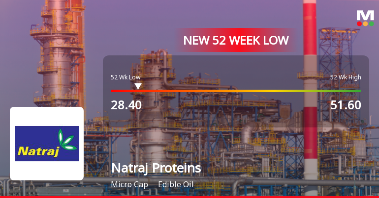 Natraj Proteins Ltd Stock Hits 52-Week Low Amid Continued Downtrend