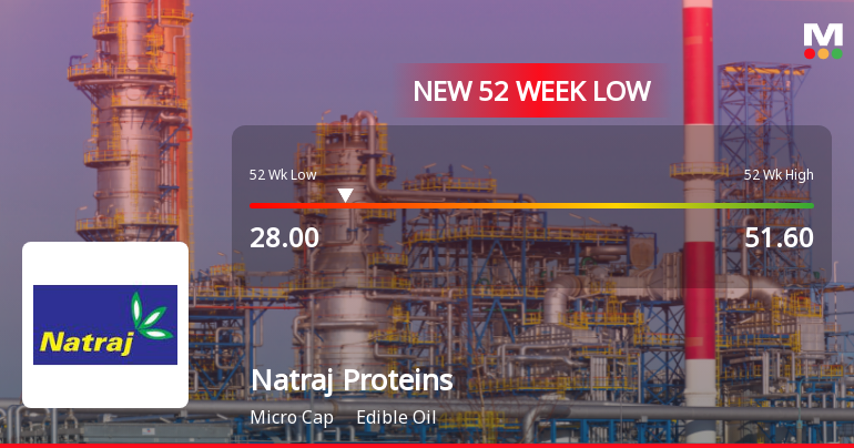 Natraj Proteins Ltd Falls to 52-Week Low of Rs.28 Amid Continued Underperformance