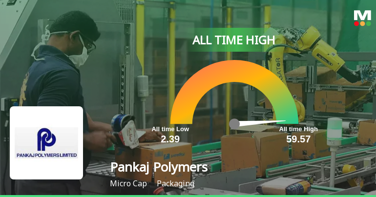 Pankaj Polymers Ltd Stock Hits All-Time High at Rs.59.57