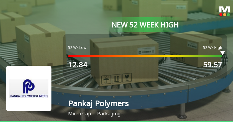 Pankaj Polymers Ltd Hits New 52-Week High at Rs.59.57