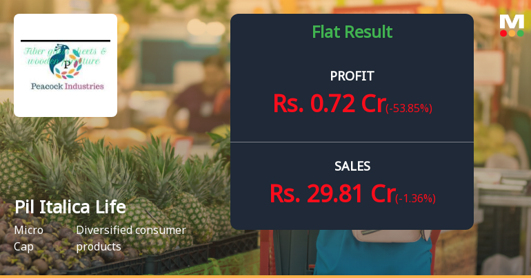 Pil Italica Lifestyle Q3 FY26: Margin Compression Deepens Despite Revenue Growth