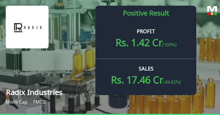 Radix Industries Q2 FY26: Margin Pressure Amid Revenue Volatility Raises Concerns