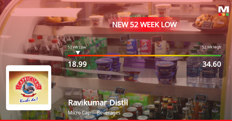 Ravikumar Distilleries Ltd Falls to 52-Week Low of Rs.18.99