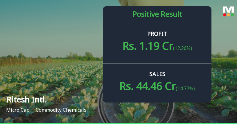Ritesh International Q2 FY26: Strong Momentum Continues with 179% Profit Surge
