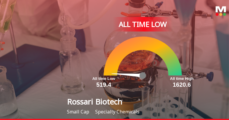 Rossari Biotech Ltd Hits All-Time Low Amid Prolonged Downtrend