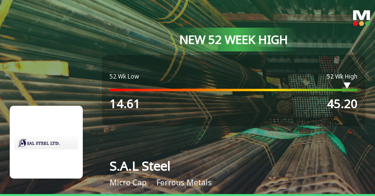 S.A.L Steel Ltd Hits New 52-Week High at Rs.45.2