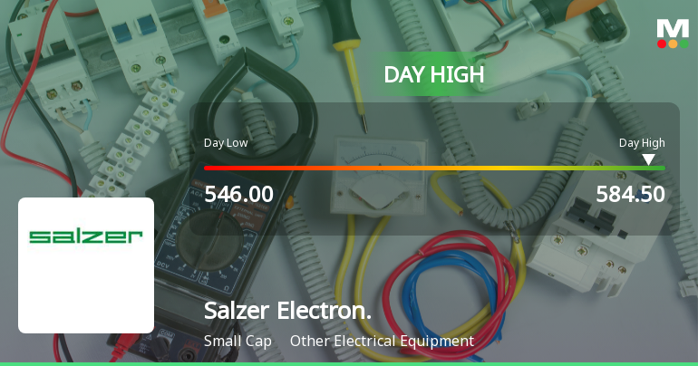 Salzer Electronics Ltd Hits Intraday High with 7.56% Surge on 28 Jan 2026