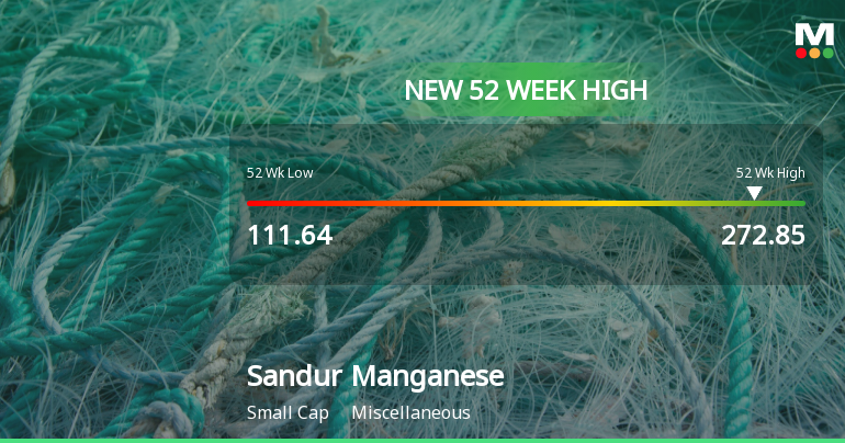 Sandur Manganese & Iron Ores Ltd Hits New 52-Week High at Rs.272.85