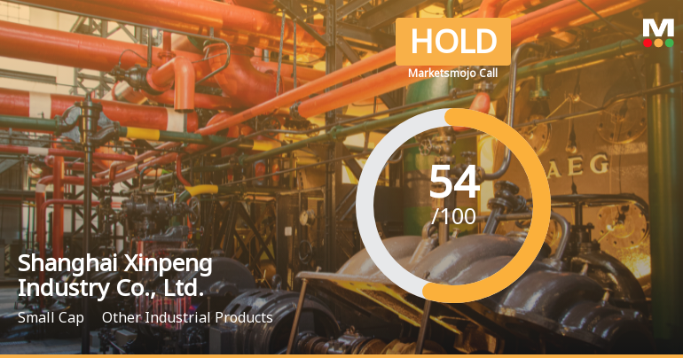 Shanghai Xinpeng Industry Adjusts Valuation Amid Mixed Financial Performance Signals