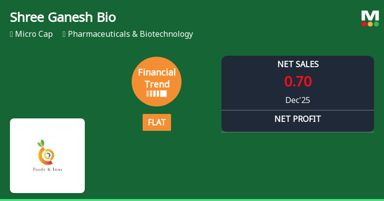 Shree Ganesh Biotech India Ltd Reports Flat Quarterly Performance Amidst Lingering Sector Challenges