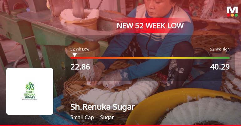 Shree Renuka Sugars Ltd Falls to 52-Week Low of Rs.22.86 Amid Continued Downtrend