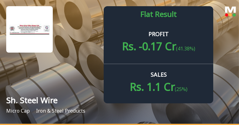 Shree Steel Wire Ropes Q2 FY26: Deepening Losses Signal Structural Distress