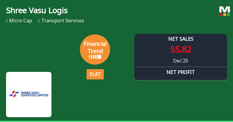 Shree Vasu Logistics Ltd Reports Flat Quarterly Performance Amid Margin Pressures