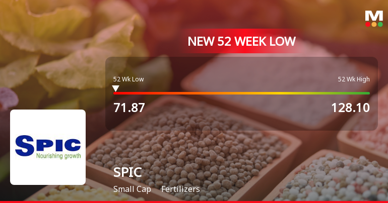 Southern Petrochemical Industries Corporation Ltd. Stock Falls to 52-Week Low of Rs.71.87
