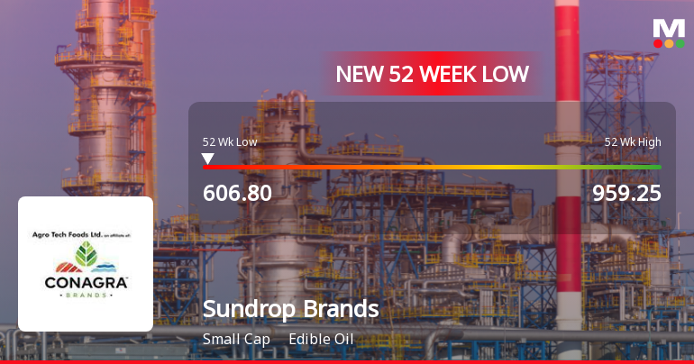 Sundrop Brands Ltd Falls to 52-Week Low of Rs.606.8 Amidst Continued Downtrend