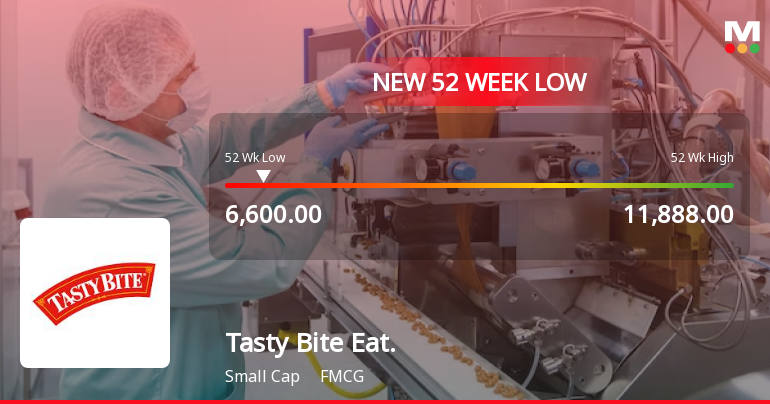 Tasty Bite Eatables Ltd Stock Falls to 52-Week Low of Rs 6600