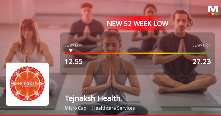 Tejnaksh Healthcare Ltd Stock Falls to 52-Week Low of Rs.12.55