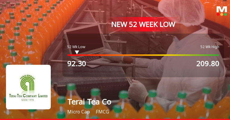 Terai Tea Co Ltd Stock Falls to 52-Week Low of Rs.92.3