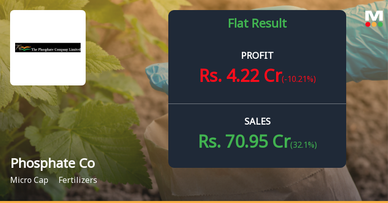 The Phosphate Company Q3 FY26: Profitability Plunges as Quarterly Loss Raises Concerns